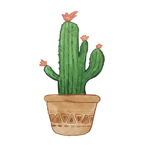 Cactus Plant Watercolor Free Image On Pixabay