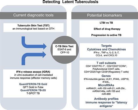 Frontiers Diagnosis For Latent Tuberculosis Infection New Alternatives