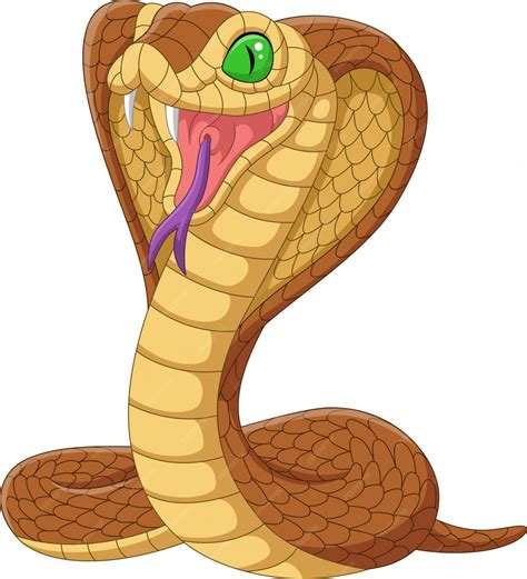 Premium Vector Cartoon King Cobra Snake Isolated