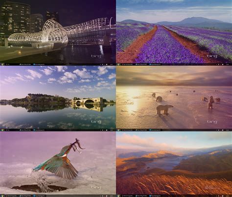 50 Bing Slideshow Wallpaper Hd Downloads On Wallpapersafari