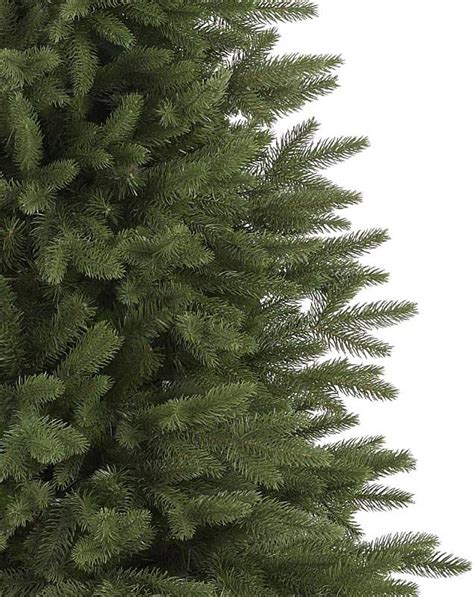 Christmas Tree Branch Sample Kit Balsam Hill