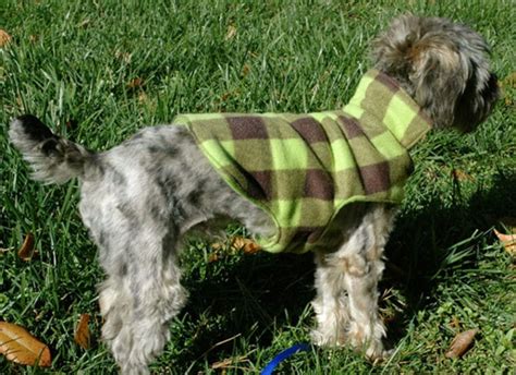 20 Stylish Diy Dog Coat Ideas You Can Make Today With Pictures Hepper