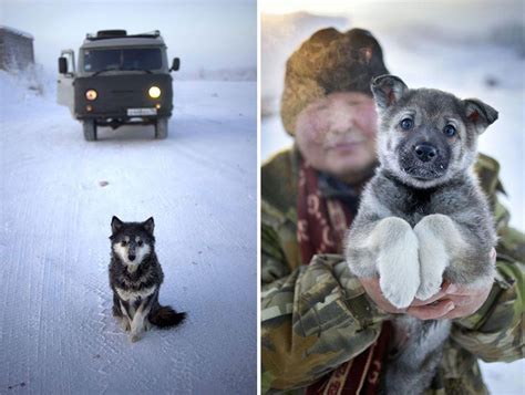 Photographer Travels From Yakutsk To Oymyakon The Coldest Village On Earth