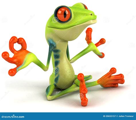 Zen Frog Royalty Free Stock Photography Image 20655157
