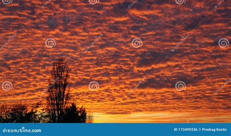 Beautiful Sky Sunset With Red Sky Stock Photo Image Of Beautiful