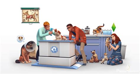 The Sims 4 Cats And Dogs Vet Clinics Platinum Simmers