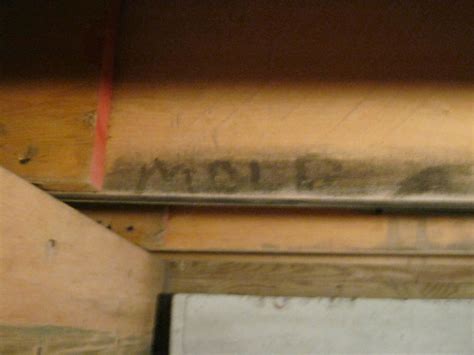 It turned out to be stachybotrys, a sticky and toxic mold. Crawl Space Repair - Crawl space encapsulation in Coventry ...