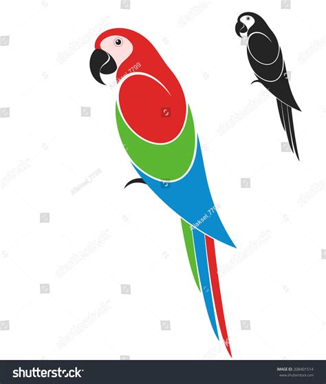 Parrot Stock Vector Illustration 208401514 Shutterstock