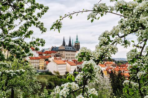He also rehabilitated victims of political purges Spring in Prague | Prague, Beautiful world, Czech republic