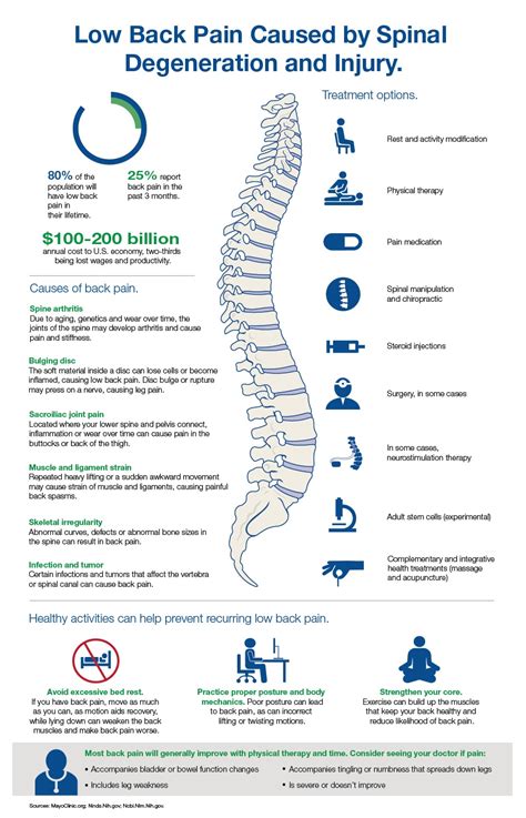 Infographic Back Pain