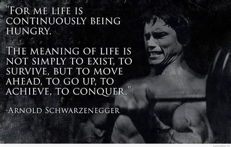 Best Arnold Schwarzenegger Quotes And Arnold Motivation Hd Wallpaper