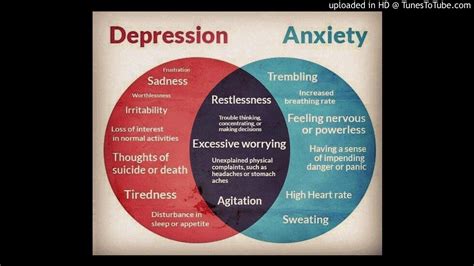 Lesson 06 Anxiety And Depression Youtube