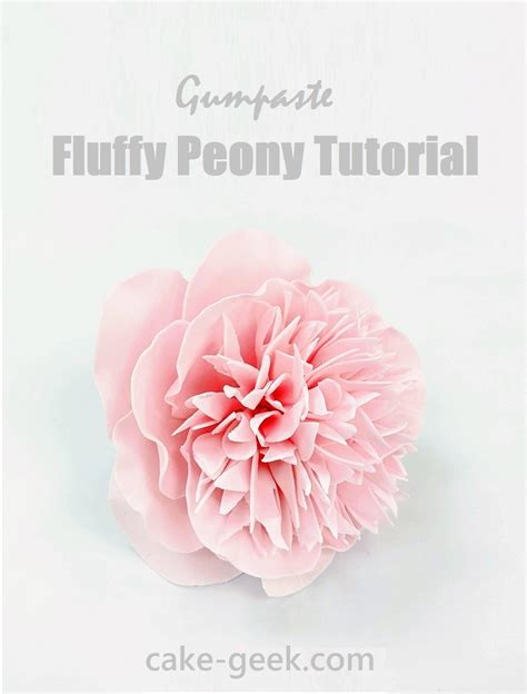 Gumpaste Peony Flowers Tutorial Best Flower Site