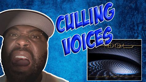 Tool Culling Voices Reaction Video Youtube