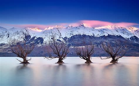 Lake Wakatipu Queenstown New Zealand Southern Alps Trees Wallpaper