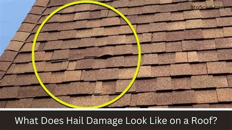 What Does Hail Damage Look Like On A Roof Complete Guide
