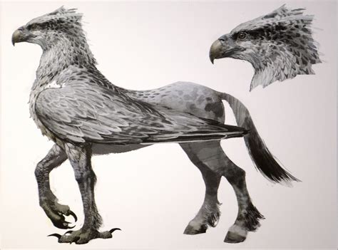 Hippogriff Cryptid Wiki Fandom Powered By Wikia