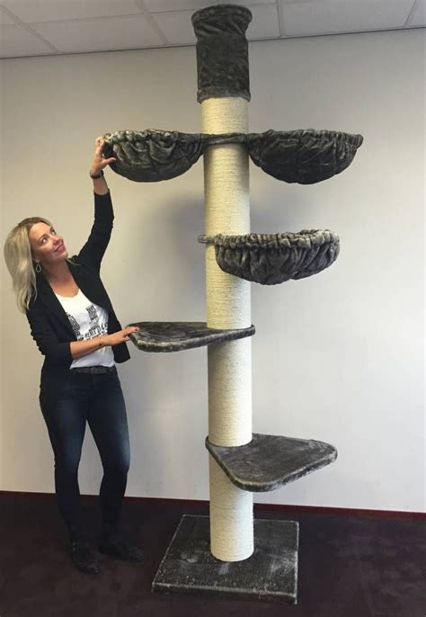Shop wayfair for the best floor to ceiling cat tree. Floor To Ceiling Cat Trees | LOWEST PRICES & FREE DELIVERY ...