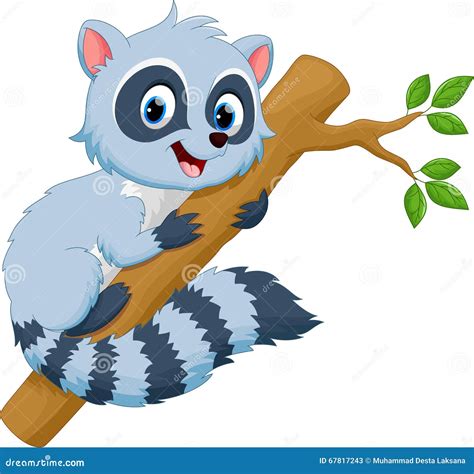Cute Raccoon Cartoon Stock Illustration Image 67817243