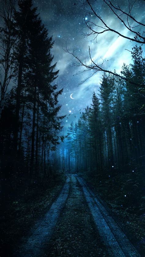 Magical Forest Night Starry Sky Iphone Wallpapers