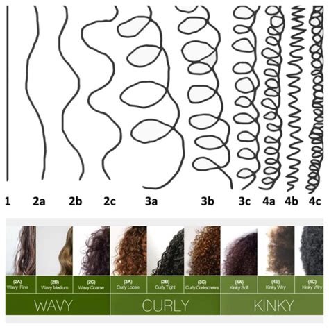Curly Hair Chart For Products