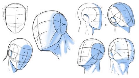 How To Draw Heads Dividing It Into Thirds Drawing Heads Draw Heads