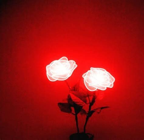 Neon Light Roses Red Aesthetic Grunge Red Aesthetic Pink Aesthetic