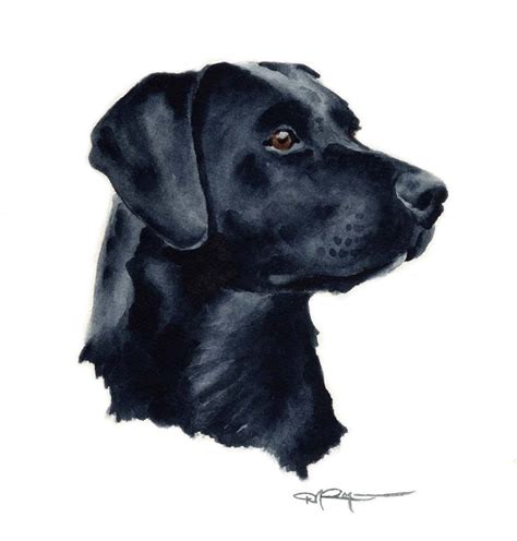 Black Lab Dog Art Print Signed By Artist Dj Rogers By K9artgallery