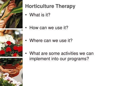 Ppt Therapeutic Gardening Powerpoint Presentation Free Download Id