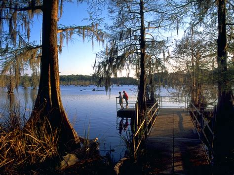 You can hike, fish, bike, enjoy birding and nature trails. Chicot State Park | Louisiana Official Travel and Tourism ...