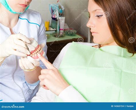 Dentis Showing Teeth Prosthesis For Woman Patient Stock Photo Image