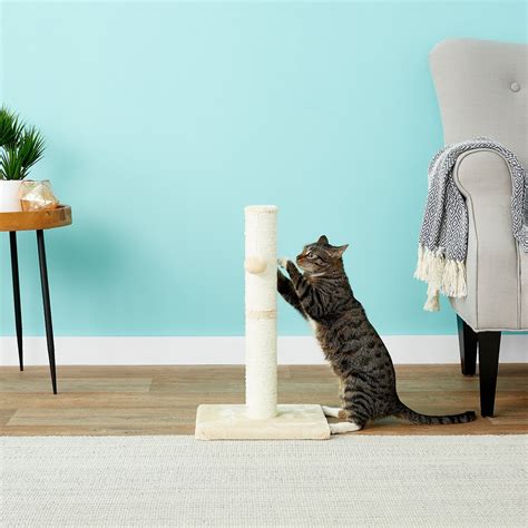 Frisco 21 In Cat Scratching Post With Toy Cream