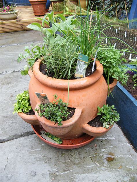 Terra Cotta Strawberry Pot For Herb Growing Herb Garden Pots