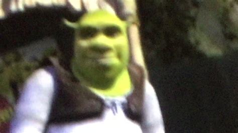 Shrek Day Out But Donkey Fiona And Shrek Dont Speak Except For