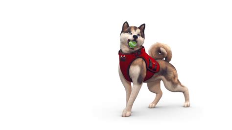 The Sims 4 Cats And Dogs Expansion Pack Free Download Bestyfiles