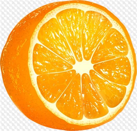 Naranjas Clipart PNG Con Fondo Transparente