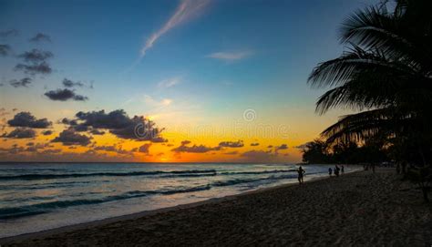 Copy Space Breathtaking Tropical Island Beach On A Sunny Summer