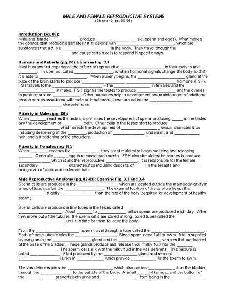 Male And Female Reproductive Systems Worksheet For 9th Higher Ed