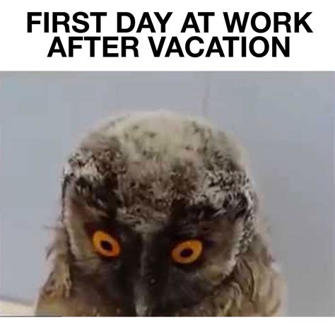 Quotes About Work After Vacation 19 Quotes