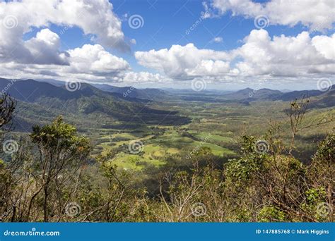 Pioneer Valley Mackay Stock Photo Image Of Eucalyptus 147885768