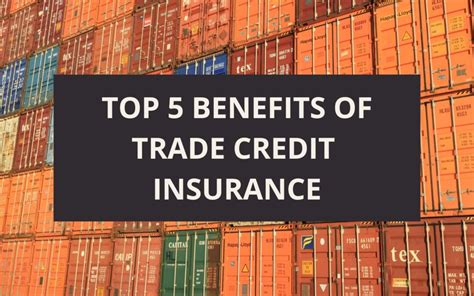 Top 5 Benefits Of Trade Credit Insurance Securitas Global Risk
