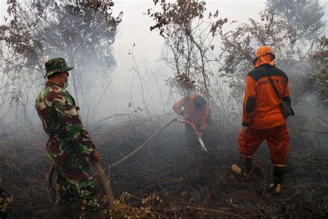 35 Tersangka Ditangkap Satgas Gakkum Terkait Pembakaran Lahan Di Riau
