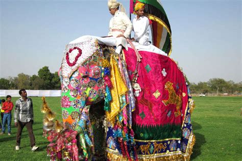 This Holi Do Not Miss The Elephant Festival In Jaipur Times Of India