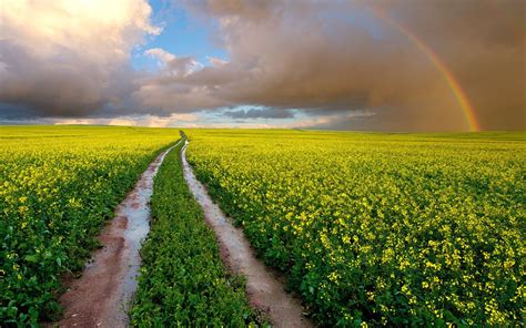 Clouds And Rainbow Over Field Wallpaper And Background