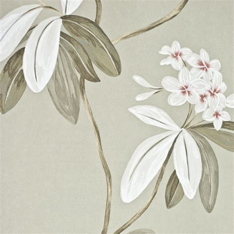 🔥 47 Large Floral Print Wallpaper Wallpapersafari