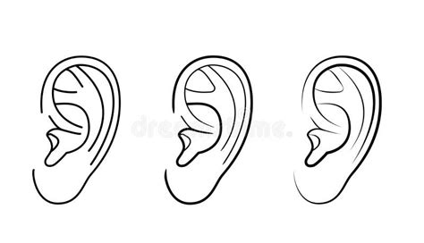 Drawing Human Ear Outline Stock Illustrations 962 Drawing Human Ear