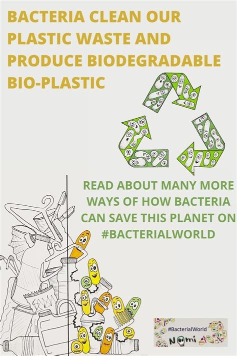 Bacteria And Their Amazing Superpowers Can Help Us Save This Planet