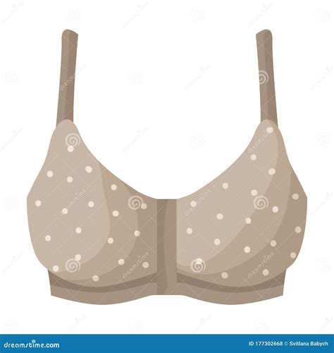 Bra Vector Iconcartoon Vector Icon Isolated On White Background Bra Stock Vector