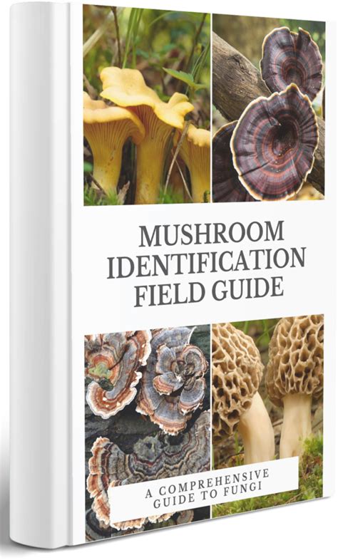 Free Mushroom Field Guide Mushroom Identify Automatic Apps On
