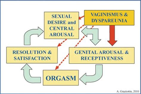 Vulvodynia And Dyspareunia Clinical Management Of Vulvodynia Tips